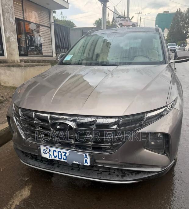 Hyundai Tucson 2022 Brown