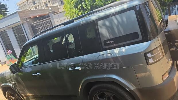 BYD Leopard 7 2025 Gray