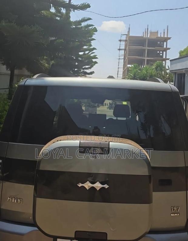 BYD Leopard 7 2025 Gray