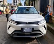 BYD Yuan Up 2025 for sale