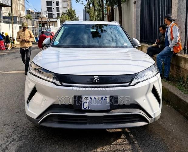 BYD Yuan Up 2025