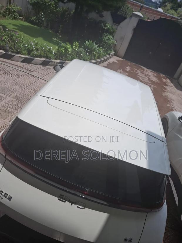 New BYD Seagull 2025 White