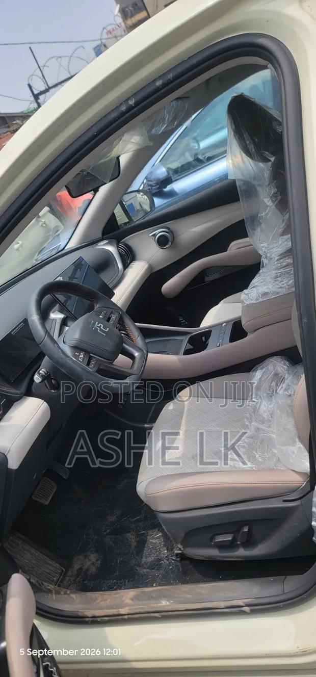 New BYD Yuan Plus 2025 Gray