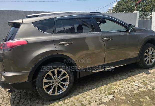 Toyota RAV4 2018 Brown