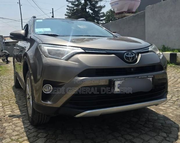 Toyota RAV4 2018 Brown