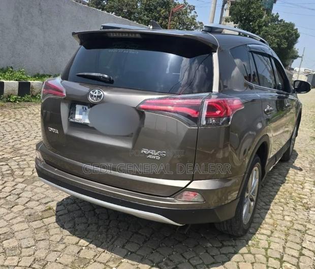 Toyota RAV4 2018 Brown