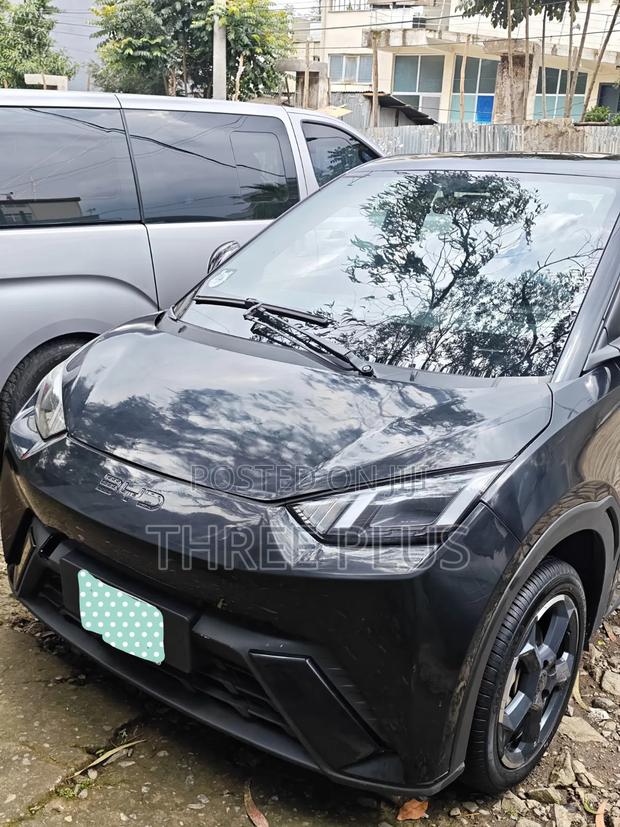 BYD Seagull 2024 Black