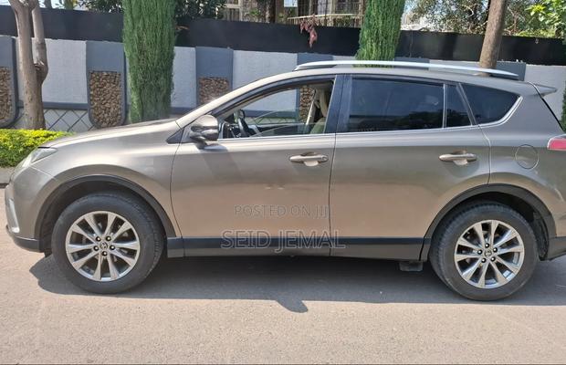 Toyota RAV4 2016 Brown