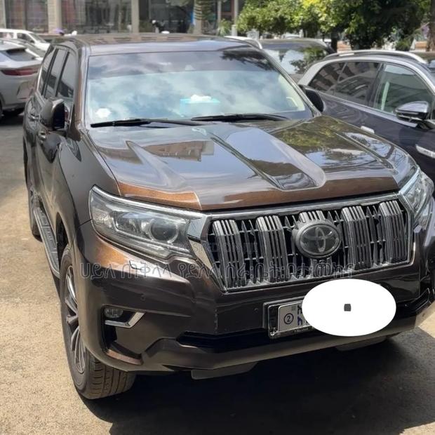 Toyota Land Cruiser Prado 2019 Brown