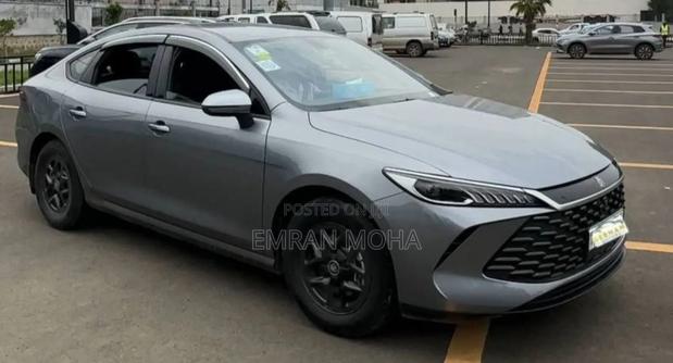 BYD Qin Plus DM-i 2025 Gray