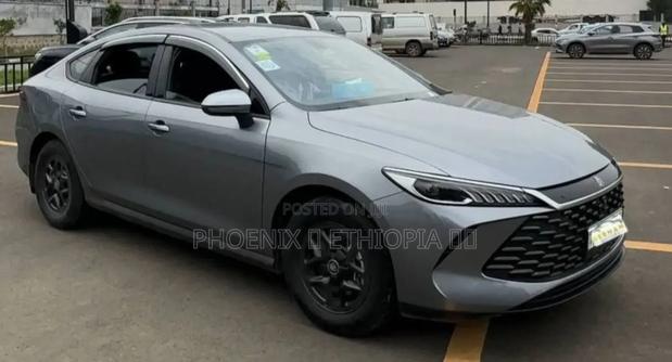 BYD Qin Plus DM-i 2025 Gray