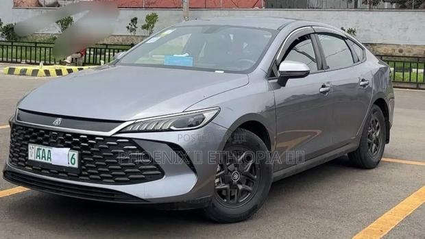 BYD Qin Plus DM-i 2025 Gray