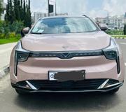 Hozon Neta U 2023 Pink for sale