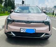 Hozon Neta U 2023 Beige for sale