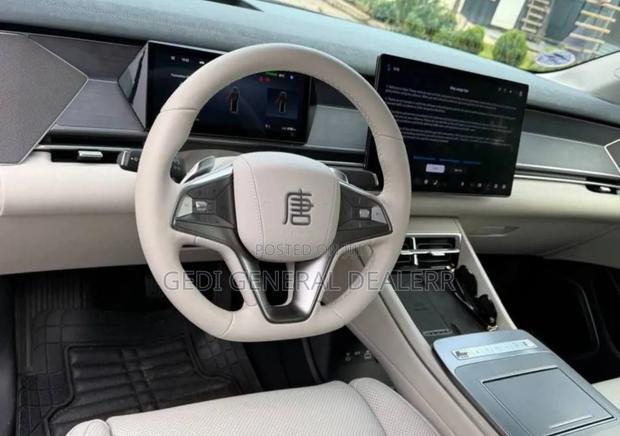BYD Tang EV 2025 Gray