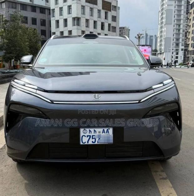 BYD Tang DM-i 2025 Maroon