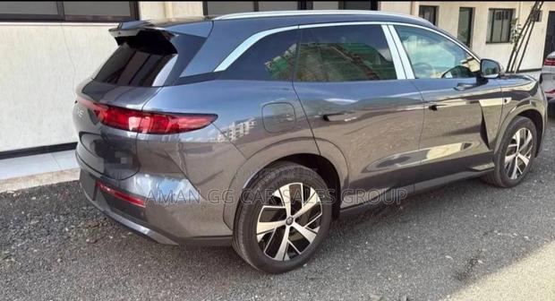 BYD Tang DM-i 2025 Maroon