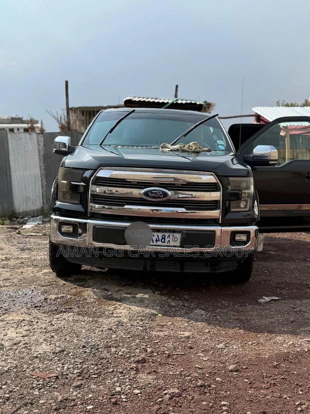 Ford F-150 2014 Gray