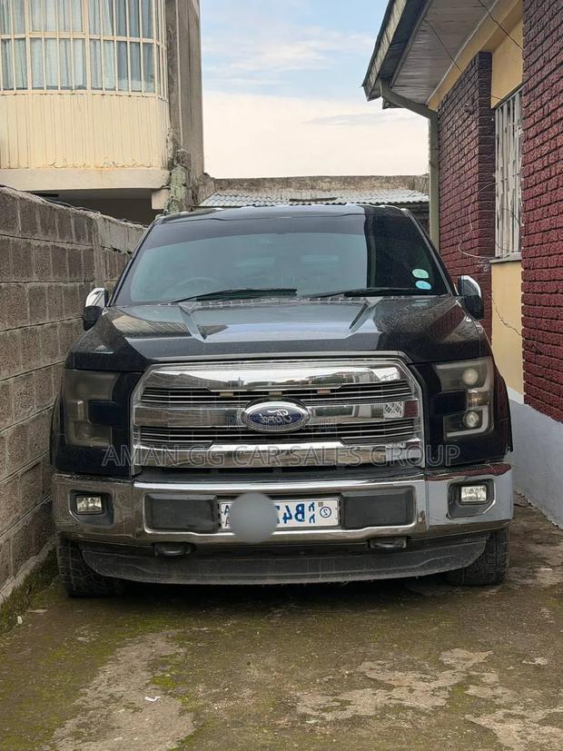 Ford F-150 2014 Gray