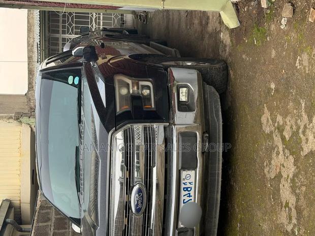 Ford F-150 2014 Gray