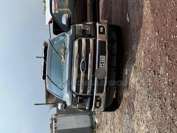 Ford F-150 2014 Gray