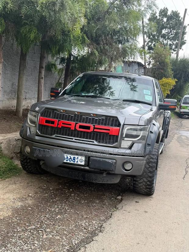 Ford F-150 2017 Gray