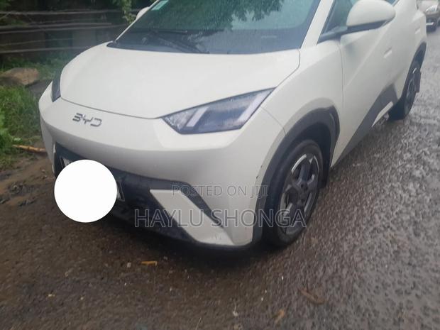 BYD Seagull 2024 White