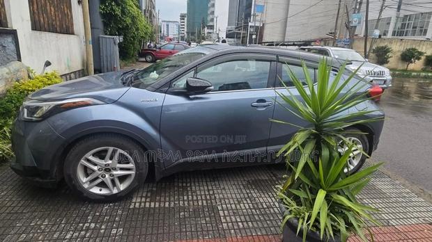 Toyota C-HR 2023 Blue