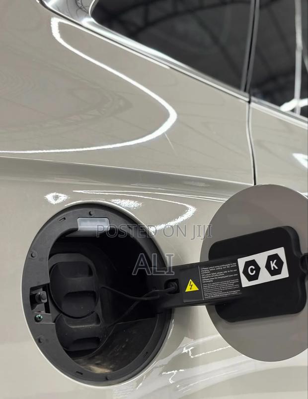 BYD Song Plus DM-i 2025 Beige