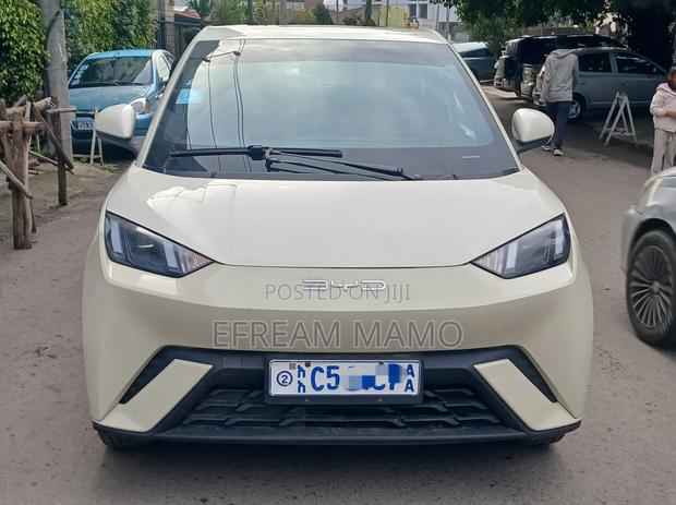 BYD Seagull 2024