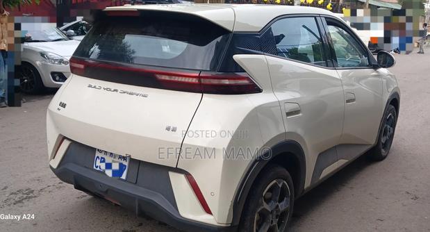 BYD Seagull 2024