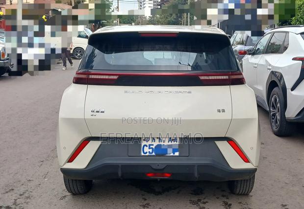 BYD Seagull 2024