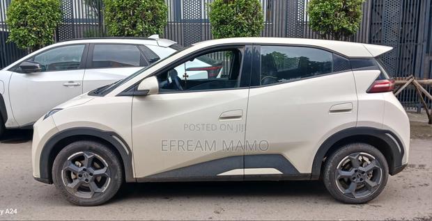 BYD Seagull 2024