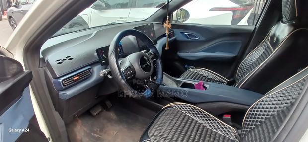 BYD Seagull 2024