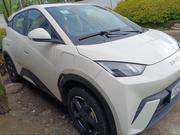 New BYD Seagull 38 kWh FWD 2024 White for sale