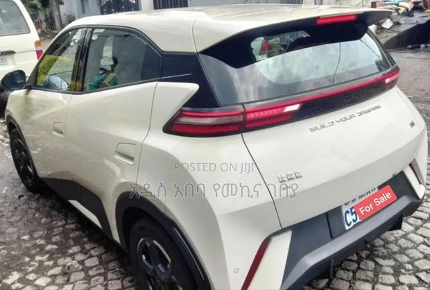 New BYD Seagull 38 kWh FWD 2024 White