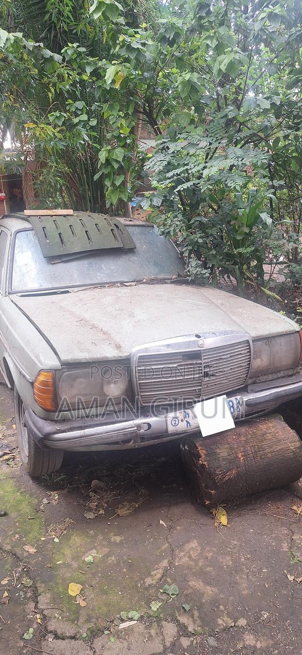 Mercedes-Benz W123 1979 Green