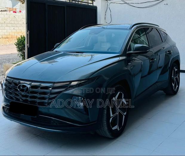 Hyundai Tucson Limited 2021 Gray
