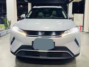 BYD Yuan Up 2025 White for sale