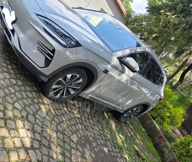 BYD Song Plus 2025 Silver