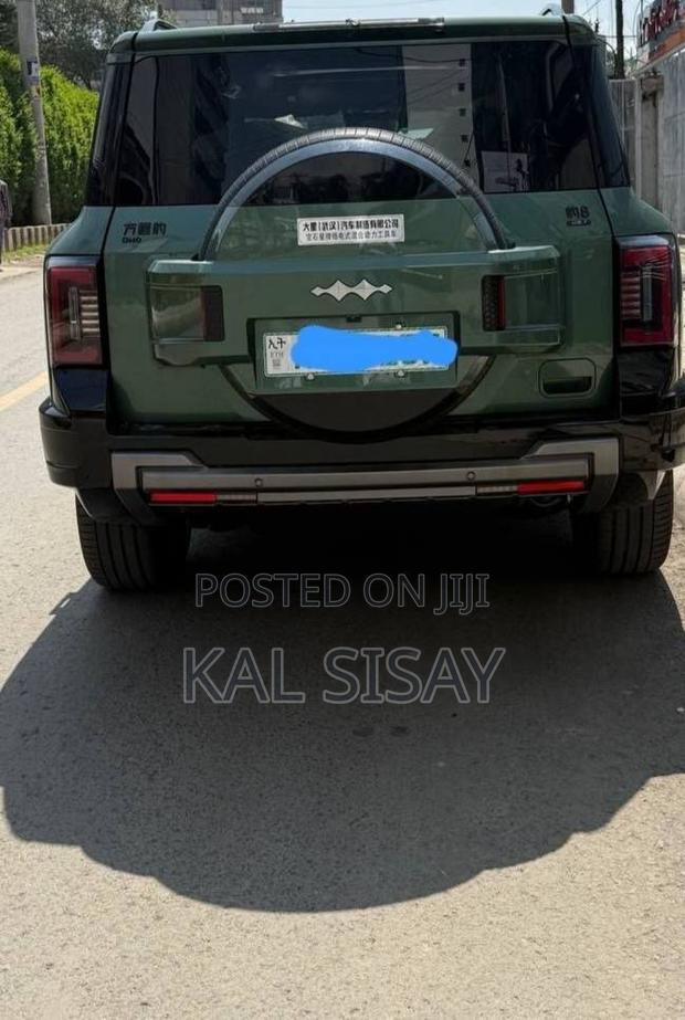 New BYD Leopard 8 2.0 Hybrid AWD 2025 Green