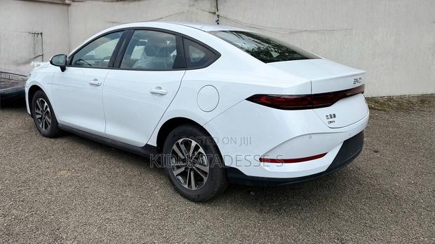 New BYD Qin Plus DM-i 2025 White