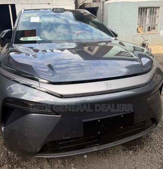 New BYD Tang EV 2025 Gray