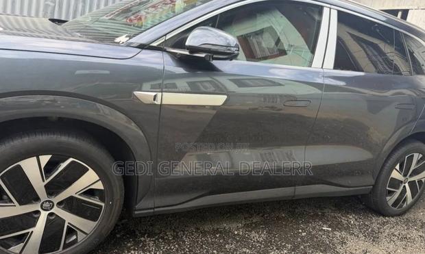 New BYD Tang EV 2025 Gray