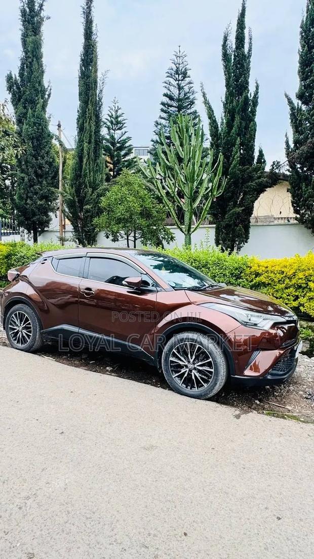 Toyota C-HR 2017 Brown