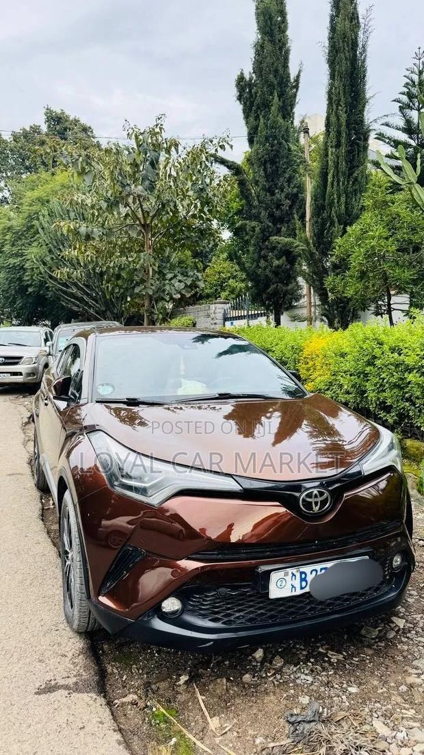 Toyota C-HR 2017 Brown