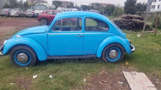 Volkswagen Beetle 1970 Blue