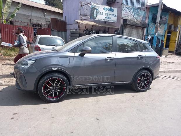Car 2024 Gray