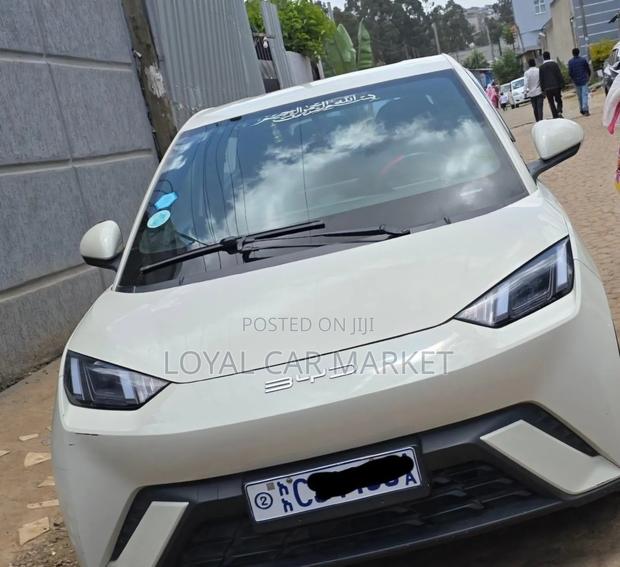BYD Seagull 2023 Gray