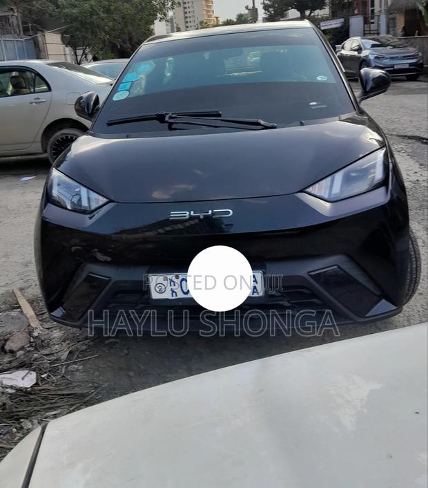 BYD Seagull 2024 Black
